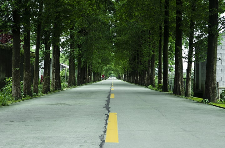 誌名であるRoutes（ルート）のイメージ写真（針葉樹らしき並木道の中央を自転車に乗った人が写っている画像）
